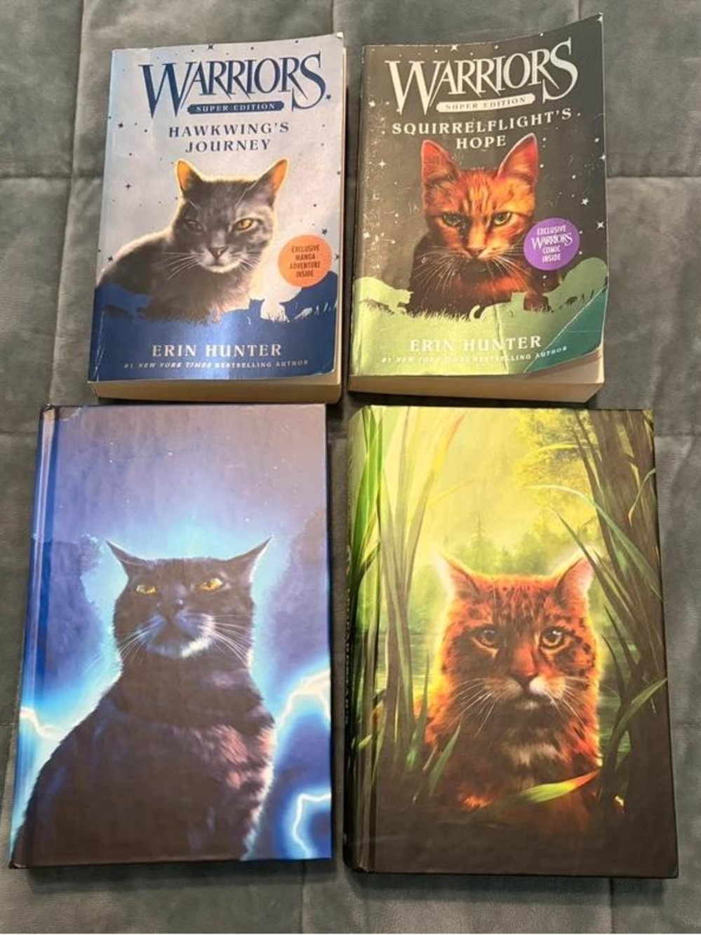 Warriors Hardcover Set by Erin Hunter - Blue, Green, Purple & Brown Covers